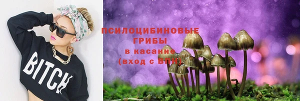 прущий лед Михайловск